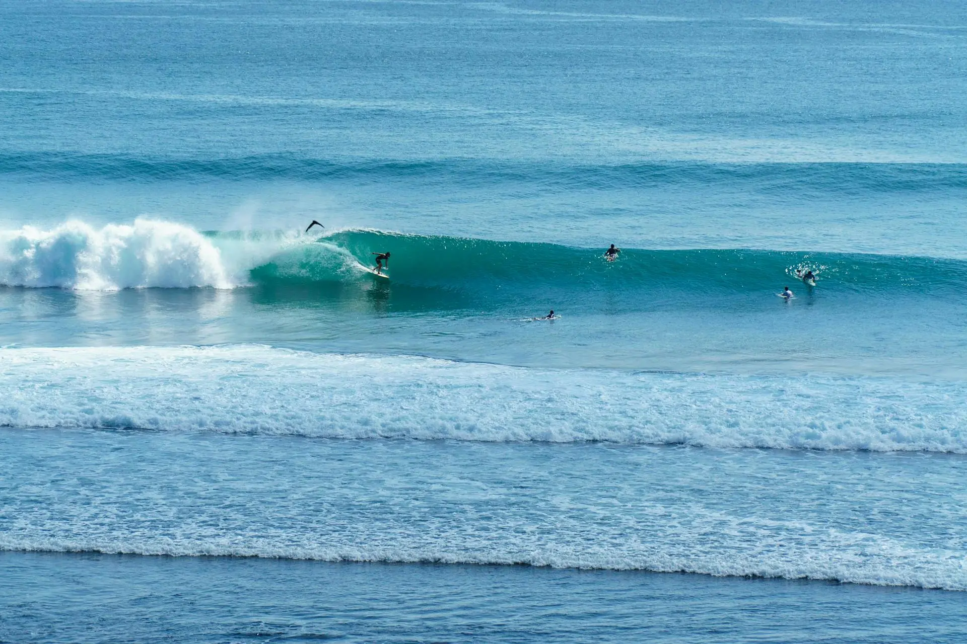 Surfing